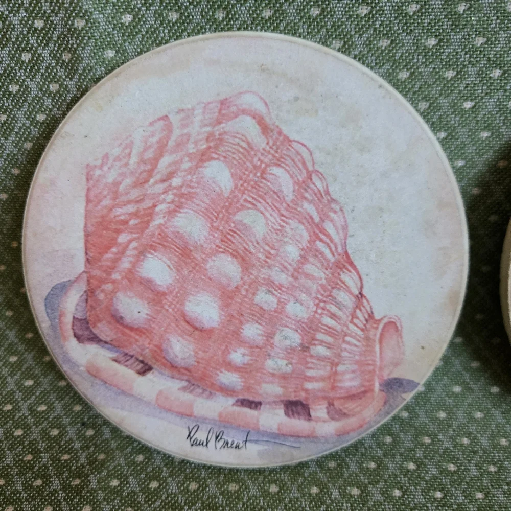 Stone Seashell Design Coasters With Cork Backing - Set of 4